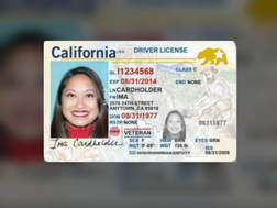 California Real ID license